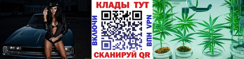 Виды наркотиков купить Богданович ГАШИШ  Экстази  АМФ  МЕФ  Конопля 
