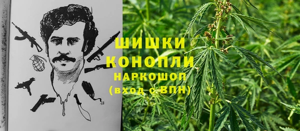 дживик Абинск