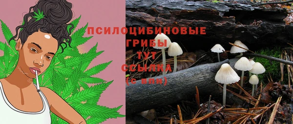 спиды Алзамай