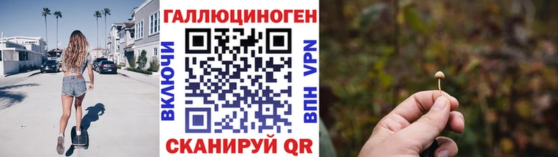 Псилоцибиновые грибы прущие грибы  наркотики  OMG ссылки  Богданович 